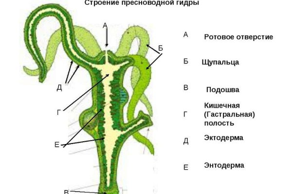 Как зайти на кракен через браузер