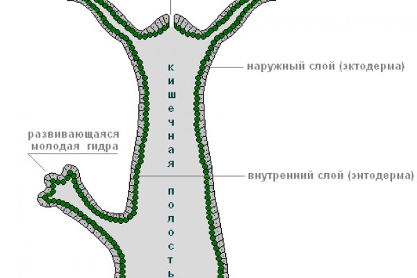 Спрут мега кракен