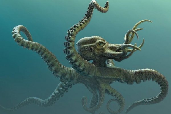 Кракен зеркало рабочее на сегодня krakenat2krnkrnk com