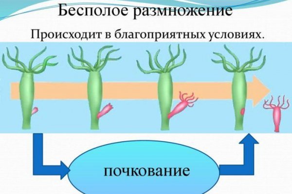 Где купить наркотиков